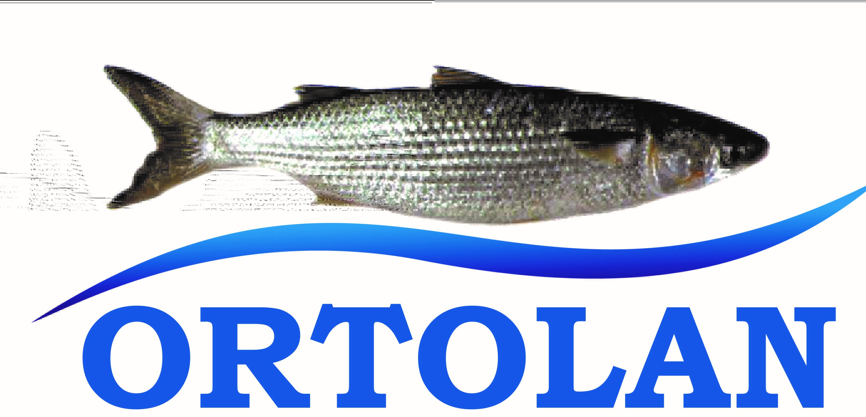 Ortolan Industria e comércio de Peixes ltda 
