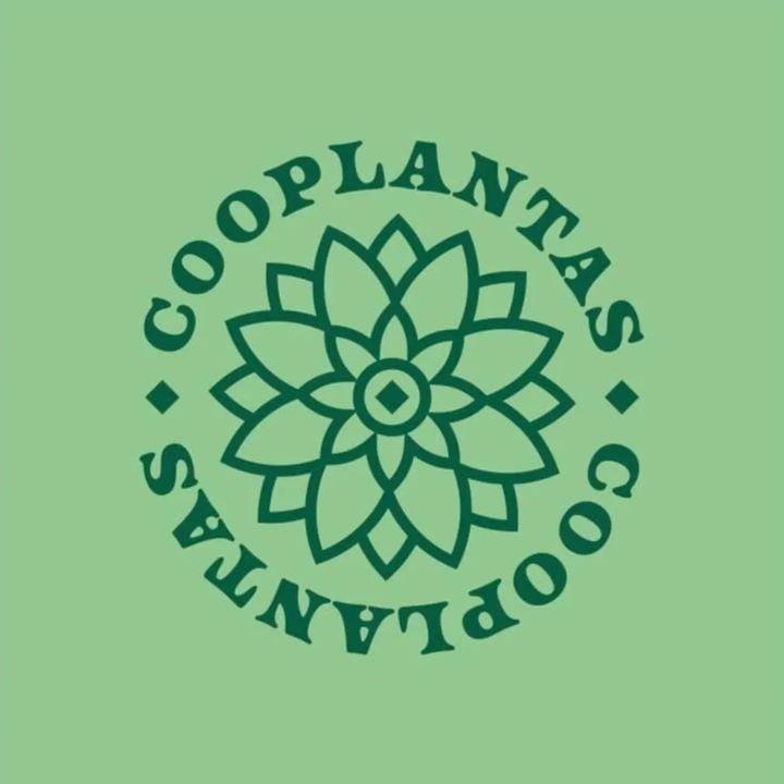 COOPLANTAS – Cooperativa de Produção de Plantas Medicinais 